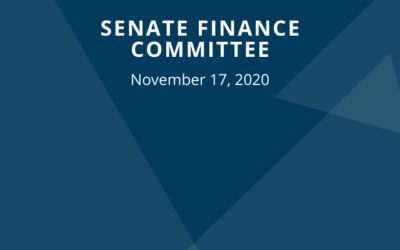 Senate Finance Committee: November 17, 2020