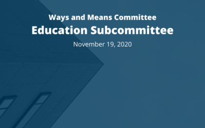 Ways and Means Committee: Education Subcommittee: November 19, 2020