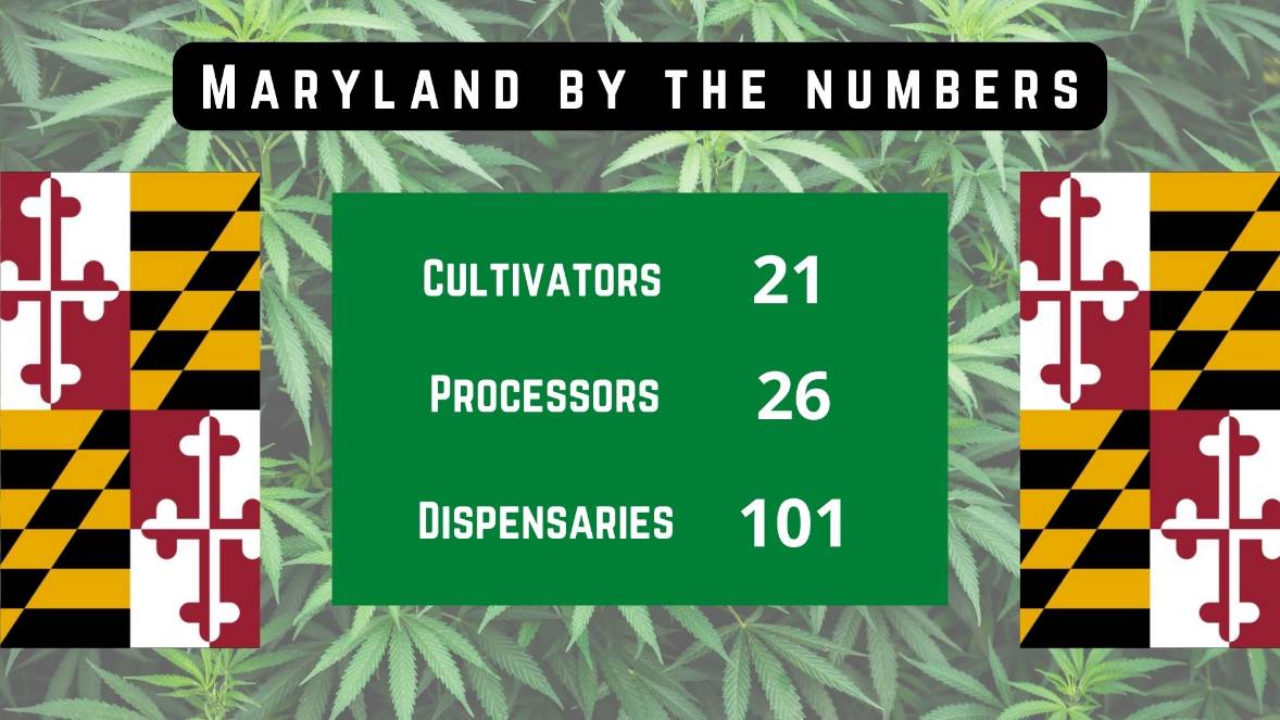 Cannabis in Maryland by the numbers