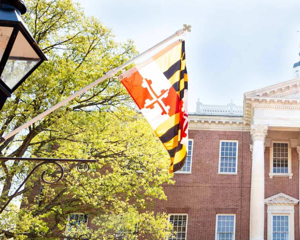 Maryland flag